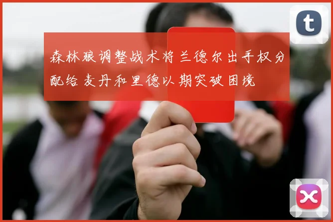 森林狼调整战术将兰德尔出手权分配给麦丹和里德以期突破困境