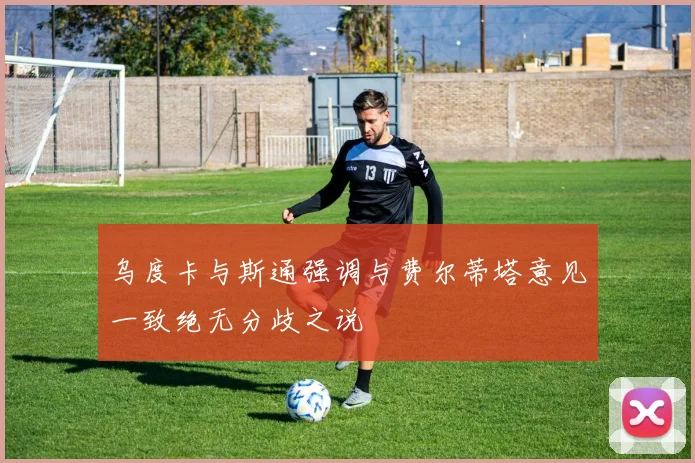 乌度卡与斯通强调与费尔蒂塔意见一致绝无分歧之说